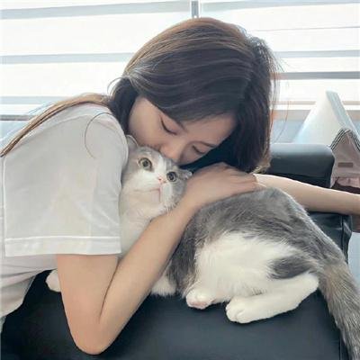 双面追缉